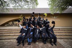 Image result for Maerua juncea