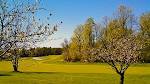The Orchards at Egg Harbor | Public Wisconsin Golf Course | Door ...