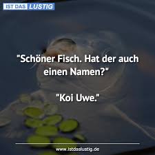 Lustige Bilder Schoner Fisch Hat Der Bilder Echtlustig Fisch Lustige Lustigebilder Schoner Siesindeina Schone Fische Lustig Urkomische Zitate