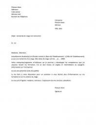 La maîtrise sur la formation en coiffure : Demande De Stage Non Remunere Lettre Type Guirbulle