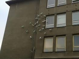 Maybe you would like to learn more about one of these? Scp 2884 One Nation Under Cctv Scp Secure Contain Protect