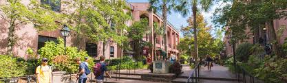 Johnson state college is a public liberal arts college in johnson, vermont. College Of Charleston The Princeton Review College Rankings Reviews