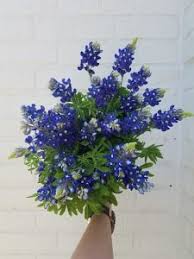 On the first weekend of february, the festival begins. Seasonal Guide To Flowers In Texas Texas Blooms Gifts