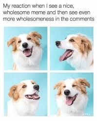 We did not find results for: Too Pure 19 Wholesome Dog Memes I Can Has Cheezburger