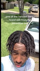 Zeb The Minorities Ad