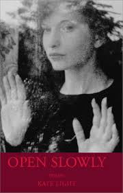 Open Slowly: Light, Kate: 9781932023046: Amazon.com: Books