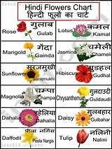 Fruits and flowers name in hindi. 21 Best Hindi Images On Pinterest Hindi Language Learning Learn Hindi Flower Chart