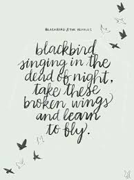 Black Bird In The Dead Of Night I Love This Song Popular Song Quotes Song Lyric Quotes Song Quotes