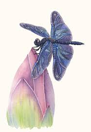 Dragonfly Lotus Animal Drawings Abstract Pattern Animal Paintings