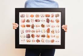 Jiggy puzzles joe's gourmet fish fry jolly roger jones scones jump forward jungle jumparoo just the cheese k9. Jiggy Kaylin Marcotte Puzzles Worth Framing Radiche