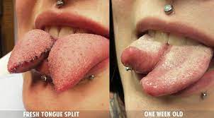 Extreme Body Modification Tongue Splitting Warning Graphic Content Tattoodo