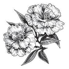Image Result For Carnation Flower Tattoo Flower Tattoo Shoulder Birth Flower Tattoos Carnation Flower Tattoo