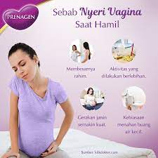 Perbedaan tulang panggul pria dan wanita. Prenagen World Saat Hamil Tua Vagina Atau Tulang Facebook