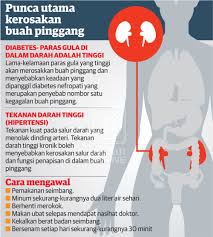Tahap kesihatan seseorang amat bergantung kepada buah pinggang yang berfungsi secara sempurna. Awas 7 Ciri Suplemen Eskayvie Sg Petani Stokis Facebook