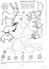 Science Coloring Pages For Kindergarten Awesome Ka Emlek A Vochoma Rka Chaloupka Hledat Googlem Coloring Pages Color Activities Coloring Pages For Kids