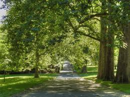 Parc Du Rancy A Bonneuil Sur Marne Gaiagoguide Com Parc Et Jardin Tourisme Ile De France