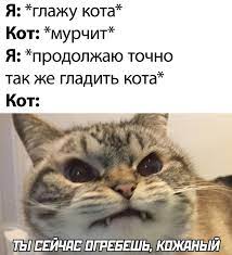 Смешные картинки для хорошего настроения. ФОТО