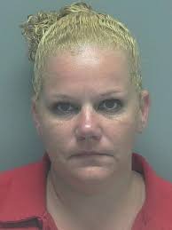 Lee County arrests 10/20/2015