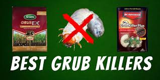 The uk's leading pet specialist, providing pet owners with all their needs; 7 Best Grub Killer For Lawns Reviews Yard Surfer