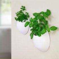 de beste verticale plantenbakken en plantenzakken voor binnen en buiten self watering planter herb wall herb pots