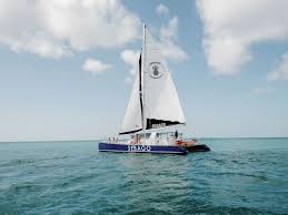 Image result for Selago barabei