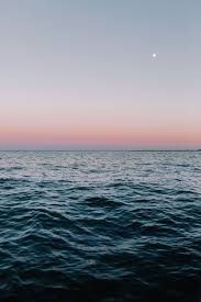 F L O A T I N G Naturfotografie Bilder Natur
