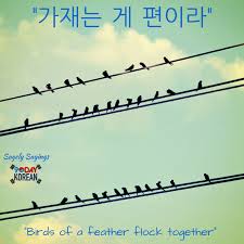 Birds Of The Same Feather Flock Together Meme 