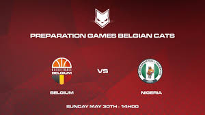 Fat cat outline simple logo vector illustration. Preparation Tournament Belgium Belgium Vs Nigeria Youtube