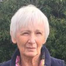 UK Parliamentary general election: The 5 candidates in Torbay