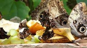 Check spelling or type a new query. I Hate Bridges Im Always Very Insecure On Bridges Happyember Simple Meditation Youtube