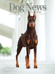 28 modern gray living room decor ideas. Dog News January 15 2016 By Dog News Issuu