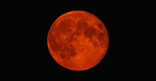The next full moon goes by many names including the buck moon. Z8rxvgcoo0esmm