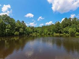 Maybe you would like to learn more about one of these? Jasper County Mississippi Hunting Land For Sale Landflip