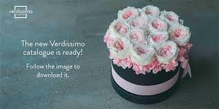 We did not find results for: The Most Beautiful Flowers In The World Verdissimo