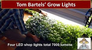 Blue light is the best led grow light. Inexpensive Grow Lights To Jump Start Your Garden The Provident Prepper