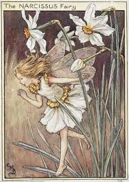 Secret Kingdom Flower Fairies Vintage Fairies Fairy Pictures
