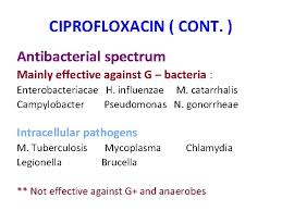 Llll➤ comprar productos para prevenir la propagación de la ⭐legionella ⭐ kits análisis, tratamientos químicos, biocidas, hipoclorito, filtros. Respiratory Tract Infections Rtis Cassifications Upper Respiratory Tract