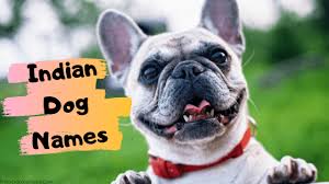 Indian Dog Names 2020 For Best Boy And Girl Dog Name List In Hindi In 2020 Dog Names Dogs Names List Girl Dog Names