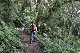 Bolívar, estado (state), southeastern venezuela. Pico Bolivar So Lauft Eine Besteigung Ab Bericht Und Infos