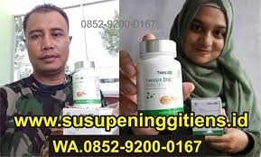 Inilah Efek Samping Tienshi Zinc Untuk Penggemuk Badan Di 2020 Metabolisme Tambah Berat Badan Bioteknologi