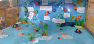 Diorama Ekosistem Laut Ekosistem Laut Ekosistem Belajar