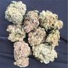 Medical marijuana clinic | green wellness life center. 1