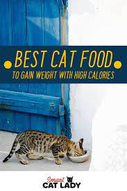 This top rated cat food for weight gain comes in both wet and dry forms. Best Cat Food To Gain Weight With High Calories Best Cat Food Cats Cat Parenting