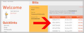Pay all your utility bills on citibank online. How To Register And View Tm E Bill Online Misterleaf