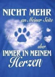 Für immer im herzen (tv movie 2004). Knut Nicht Mehr An Meiner Seite Aber Fur Immer In Meinem Herzen