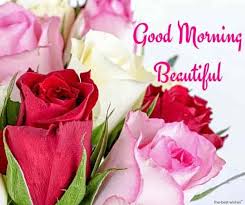 Best Good Morning Wishes For Girlfriend Good Morning Messages Romantic Good Morning Messages Good Morning Love Messages