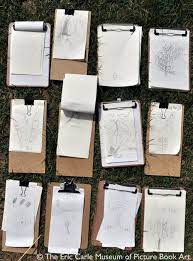 Clipboards Of Class Observation Drawings On A Nature Walk The Eric Carle Museum Art Education Tree Study Teaching Drawing