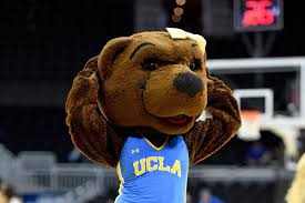 Find the best ucla bruins women's basketball tickets at the cheapest prices. Anxwjjaf8ihdfm
