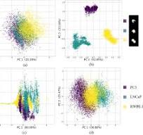 S3-VAE: A novel Supervised-Source-Separation Variational ...