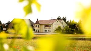 Aus den trauben, die in dieser woche den weinberg verlassen haben, soll in den nächsten monaten riesling entstehen. Home